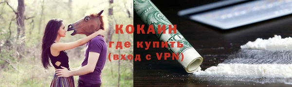 ПСИЛОЦИБИНОВЫЕ ГРИБЫ Абаза